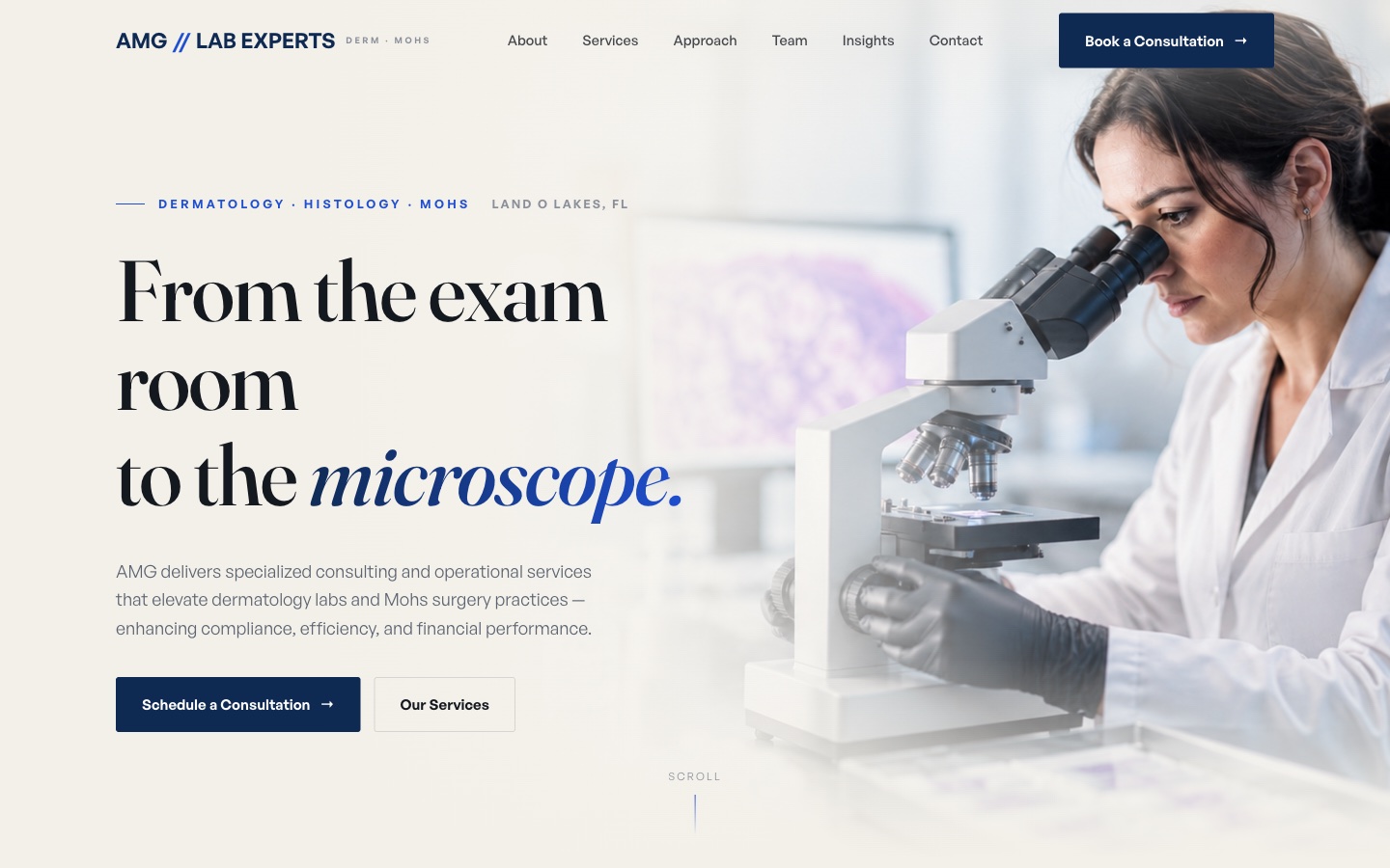 Light, clinical editorial homepage direction